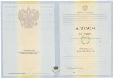 Диплом СПбГПМУ 2010-2011 годов